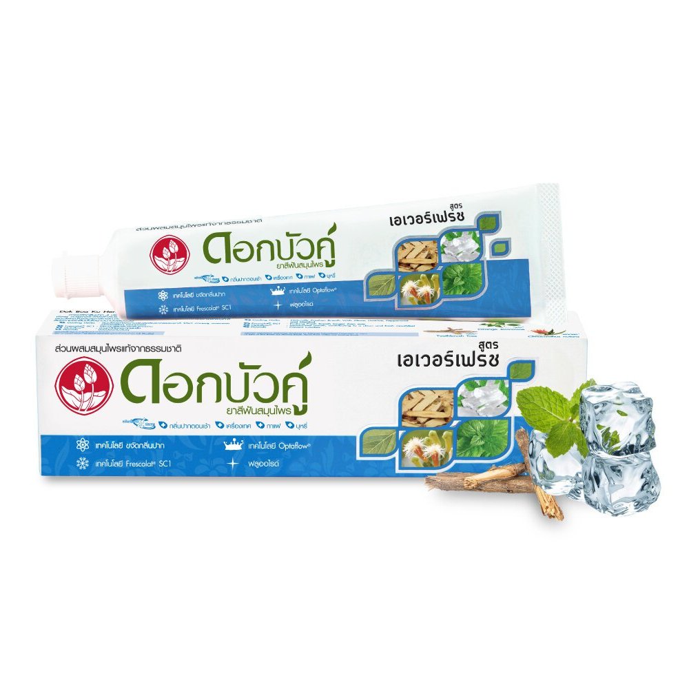 Twin Lotus Herbal Toothpaste (Dok Bua Ku)