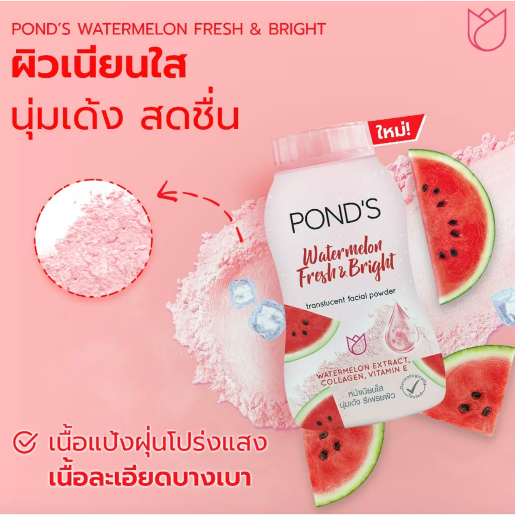 Pond's Translucent Powder